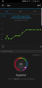 VO2 Max, fitness